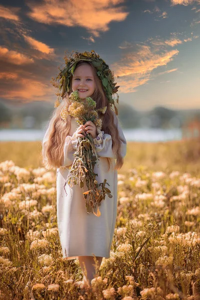 Çiçek Tarlasında Çelenk Giymiş Şirin Bir Köylü Kızının Portresi Çiçek — Stok fotoğraf