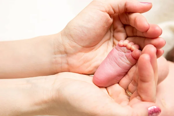 Pais Segurando Nas Mãos Pés Bebê Recém Nascido Fechar Foto — Fotografia de Stock