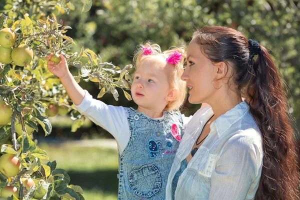 Happy Smiling Mom Daughter Childwalking Apple Orchard Sunny Summer Day — Stock Photo, Image