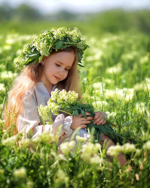 Porträtt Söt Flicka Unge Krans Ett Blomsterfält Ett Barn Blommande — Stockfoto