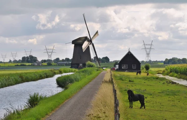 네덜란드 밀 — 스톡 사진