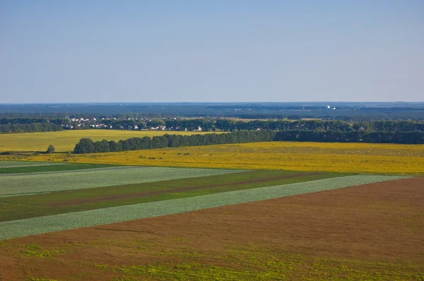 Fält ovanifrån — Stockfoto