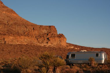 Joshua Tree Ulusal Parkı