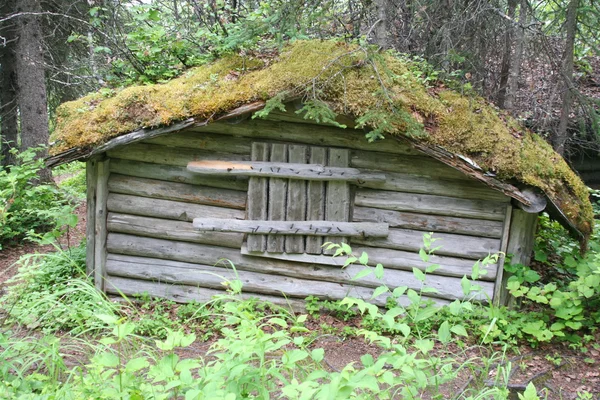 Old wooden house in the woods — Stock Photo, Image