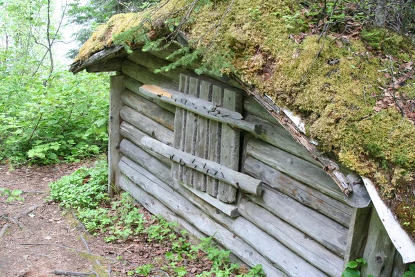 Old wooden house in the woods — Stock Photo, Image