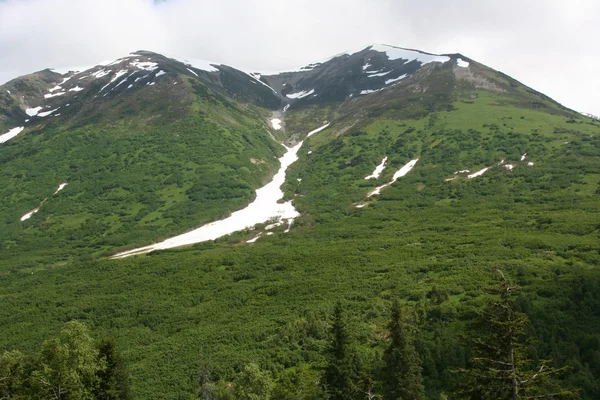 Alaska outdoors — Stock Photo, Image