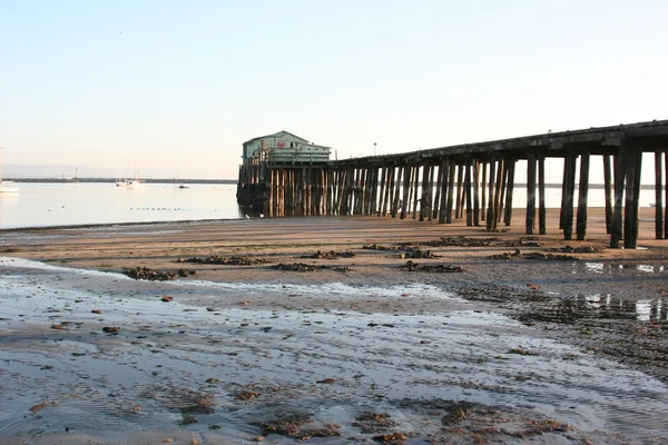 California al aire libre — Foto de Stock