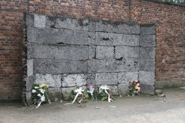 Polonya Auschwitz'ten resim