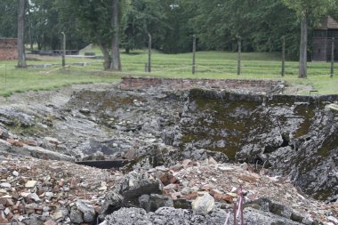 Polonya birkenau toplama kampı