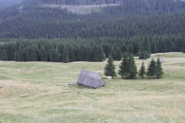 Polonya tatra Dağları
