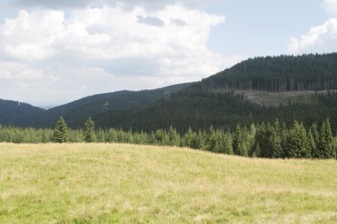 Polonya tatra Dağları