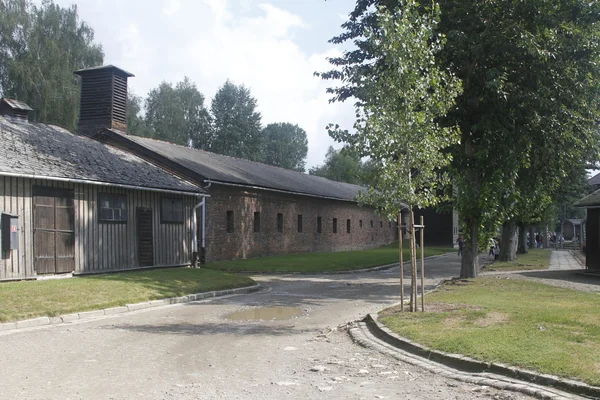 Poland Auschwitz — Stock Photo, Image