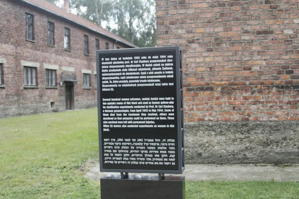 Polonia Auschwitz — Foto Stock
