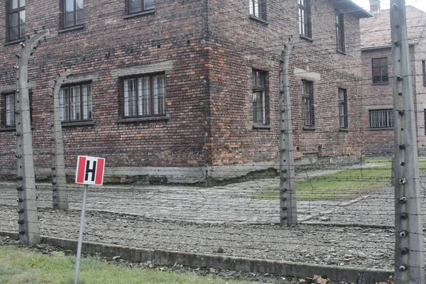 Polonia Auschwitz —  Fotos de Stock