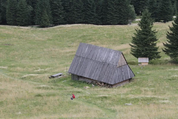 Pologne Les montagnes Tatra — Photo