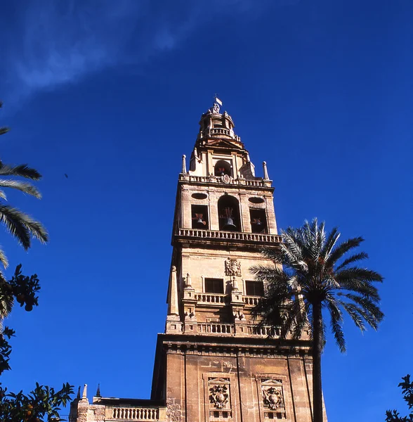 Spain Cathedral — Stock Photo, Image