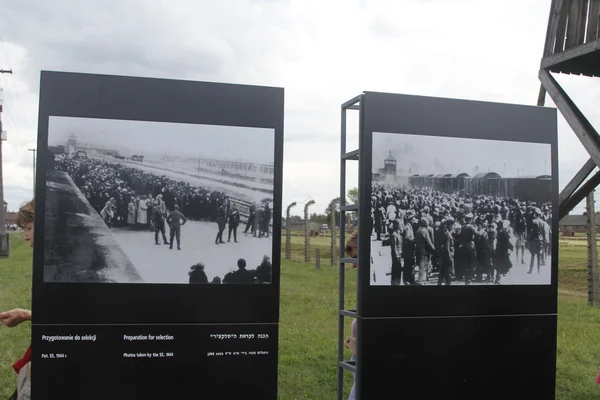 Polonia Campo di concentramento di Birkenau — Foto Stock