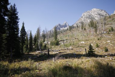 Yellowstone Grand Tetons