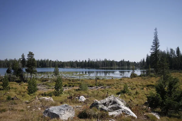 イエローストーンのグランド tetons — ストック写真