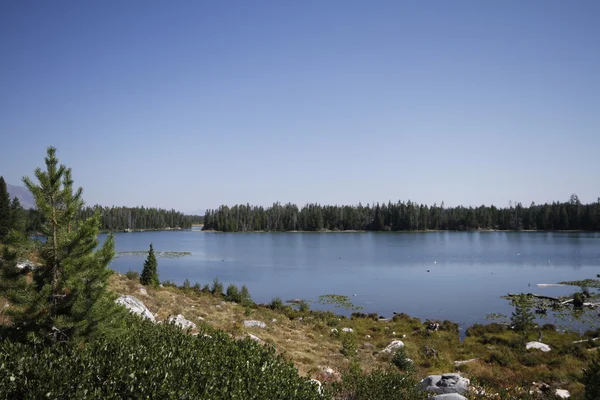 Grand tetons Yellowstone — Fotografia de Stock