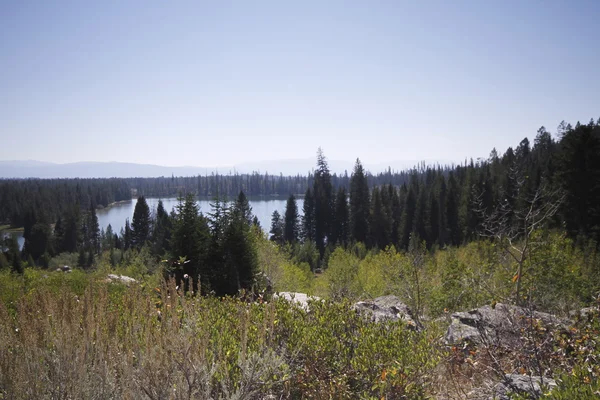 Yellowstone de grand Tetons boven u uit — Stockfoto