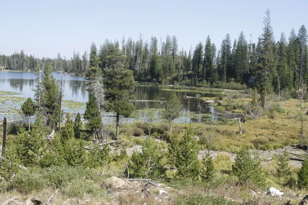 Yellowstone de grand Tetons boven u uit — Stockfoto