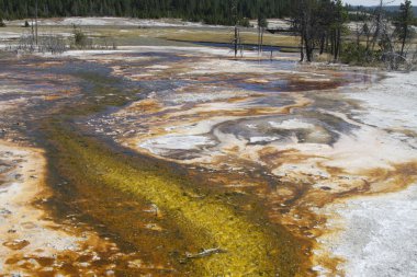 Yellowstone Grand Tetons Gayzer
