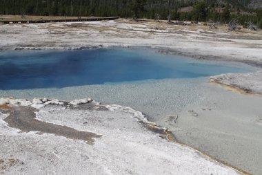 Yellowstone Grand Tetons Gayzer