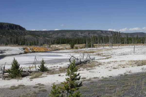 Geiser de Yellowstone Grand Tetons — Foto de Stock