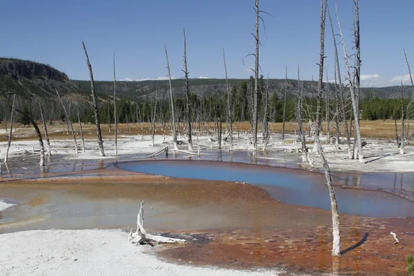 Geiser de Yellowstone Grand Tetons — Foto de Stock