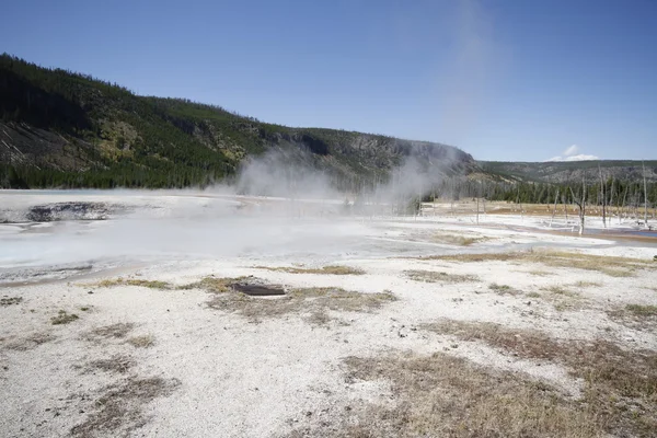 Yellowstone Grand Tetons Geyser — Stock Photo, Image