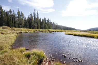 Yellowstone Grand Tetons