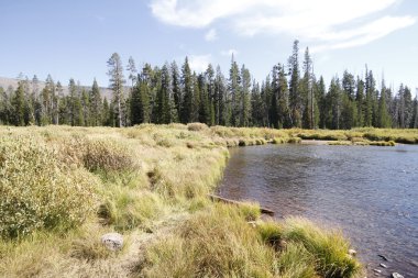 Yellowstone Grand Tetons
