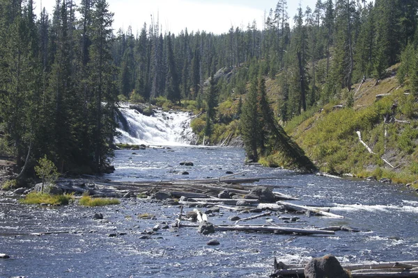 Yellowstone Grand Tetons — Stockfoto