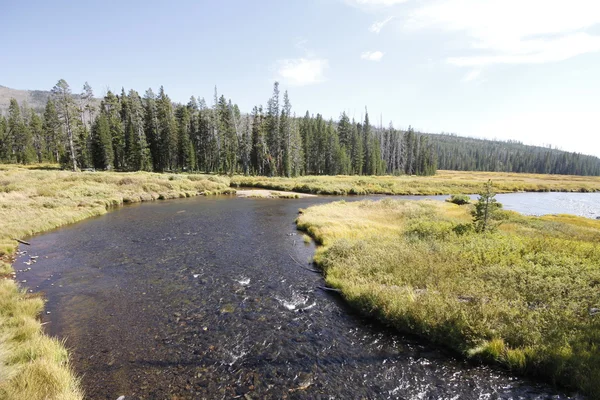 Grandes Tetones de Yellowstone — Foto de Stock