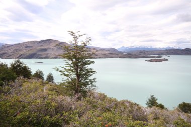 Torres Del Paine Parkı 'nda W Trek