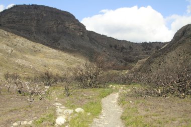 Torres Del Paine Parkı 'nda W Trek