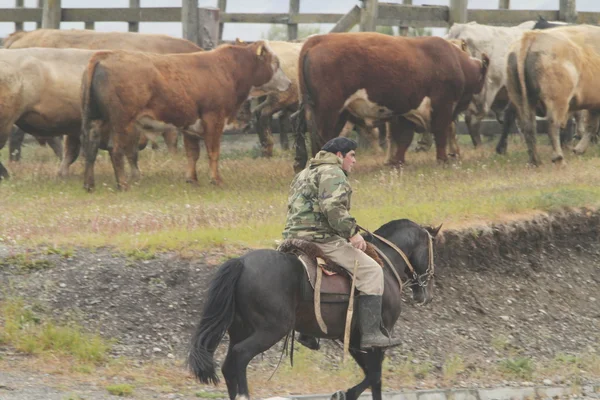 Chilenische Gauchos in Patagonien — Stockfoto