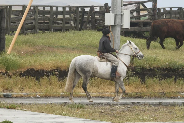 Gauchos chilijski w Patagonii — Zdjęcie stockowe