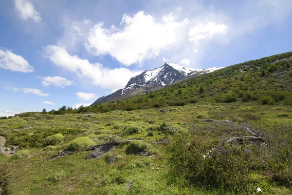 W Trek en Torres Del Paine Park — Foto de Stock