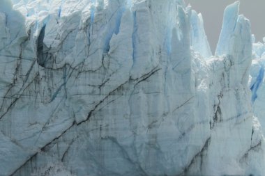 Perrito Moreno Buzulu Arjantin