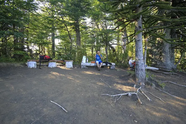 Parque nacional Conguillo — Zdjęcie stockowe