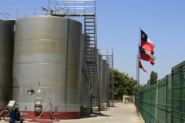 Azienda vinicola Santa Cruz Cile — Foto Stock