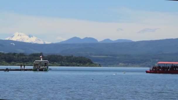 Bateaux dans le port — Video