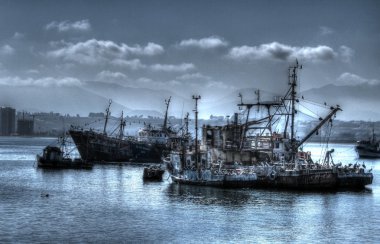 Coquimbo chilehar liman