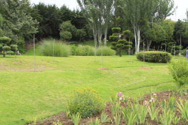 Japon bahçeleri la serena Şili