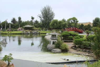 Japon bahçeleri la serena Şili