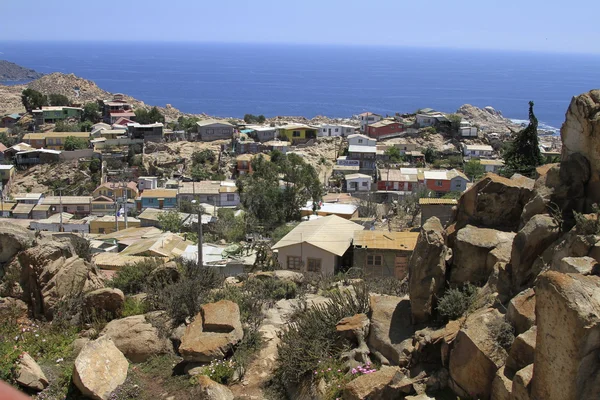 Coquimbo Chile — Stock Photo, Image