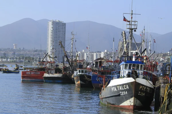 Coquimbo chilehar liman — Stok fotoğraf
