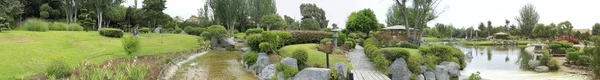 Японські сади в Ла Серена Чилі Ліцензійні Стокові Зображення